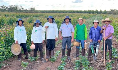 Aperam BioEnergia recebe Selo de Sustentabilidade por possibilitar que pequenos agricultores cultivem alimentos em suas florestas plantadas