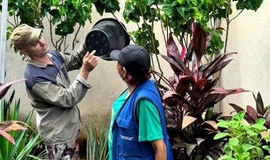 Secretaria de Saúde de Ipatinga divulga resultado do último LIRAa de 2024