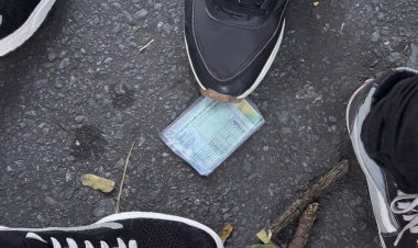 Perdeu documentos durante o Carnaval? Saiba como solicitar a segunda via nos canais oficiais do Governo de Minas