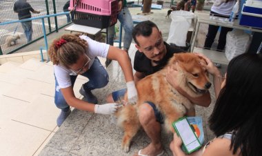 Timóteo inicia vacinação dos cães e gatos