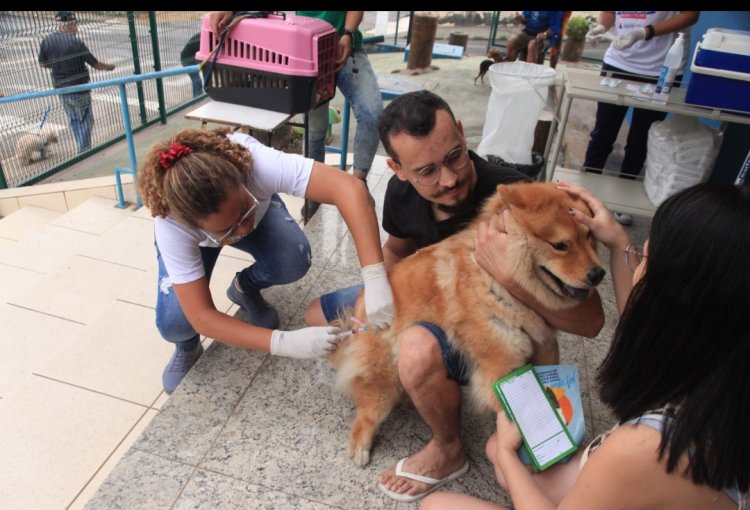 Timóteo inicia vacinação dos cães e gatos