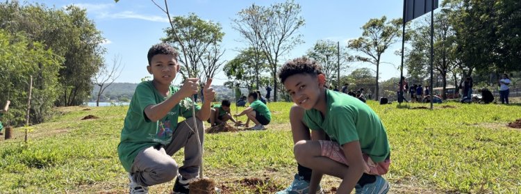 Bosque do Amanhã: programa do Governo de Minas mobiliza crianças no plantio de mais de 12 mil mudas em 2025