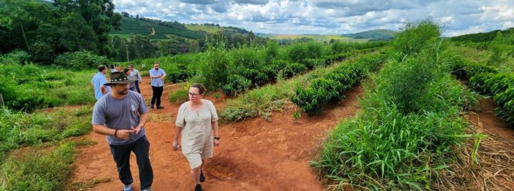 Minas apresenta Plataforma SeloVerde, desenvolvida em conjunto com a União Europeia